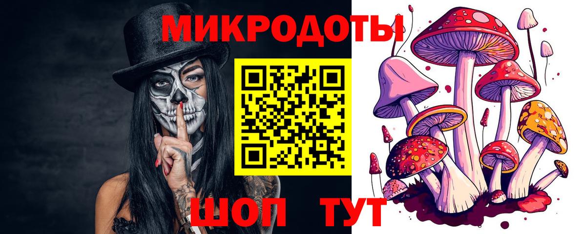 Псилоцибиновые грибы Psilocybe Соликамск