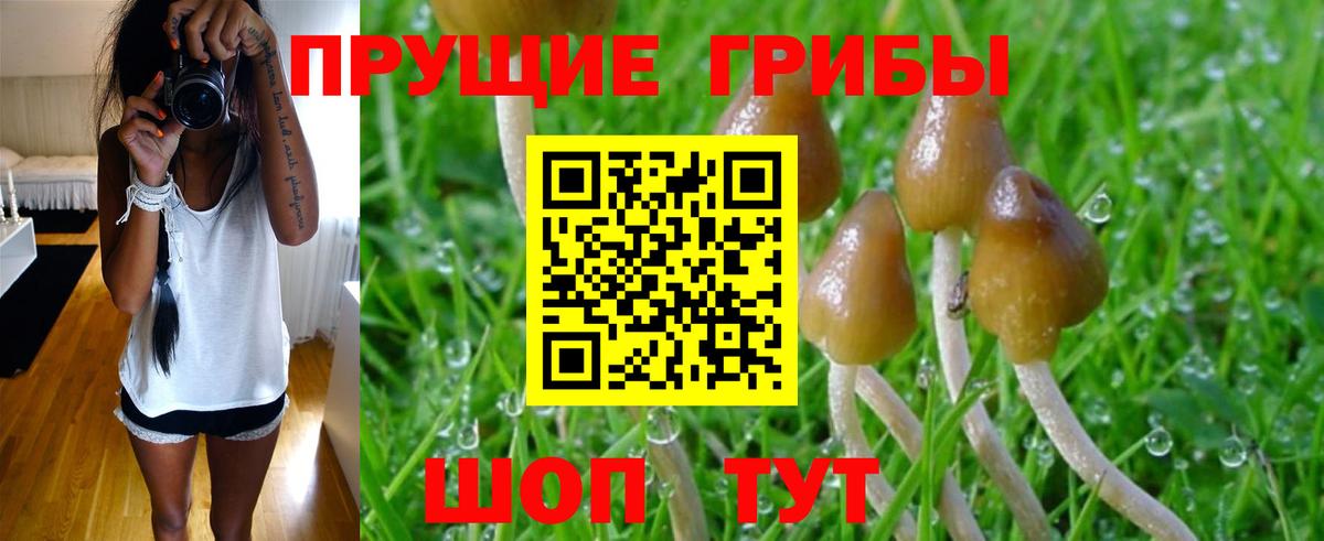 Галлюциногенные грибы Cubensis  Вход с VPN  купить наркотик  Соликамск 